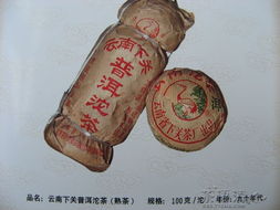 新葉精品普洱圖錄 一葉一世界，感謝高山饋贈(zèng)